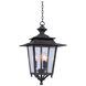 Saddlebrook 3 Light 14 inch Aged Iron Outdoor Hanging Lantern