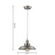 Biern 1 Light 10.71 inch Pewter Pendant Ceiling Light