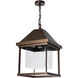 Dorset 1 Light 14.6 inch Coastal Bronze Outdoor Hanging Lantern in Seeded Clear