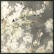 Florals Collection Neutral Canvas