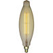 Lumos Incandescent BT38 Medium E26 100 watt 120V 2200K Light Bulb