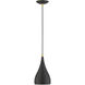 Amador 1 Light 6.25 inch Textured Black with Antique Brass Accents Mini Pendant Ceiling Light