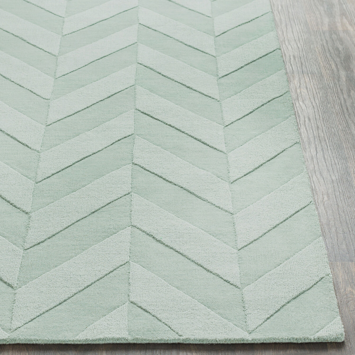 Central Park 60 X 36 inch Ice Blue/Sage Rugs, Rectangle