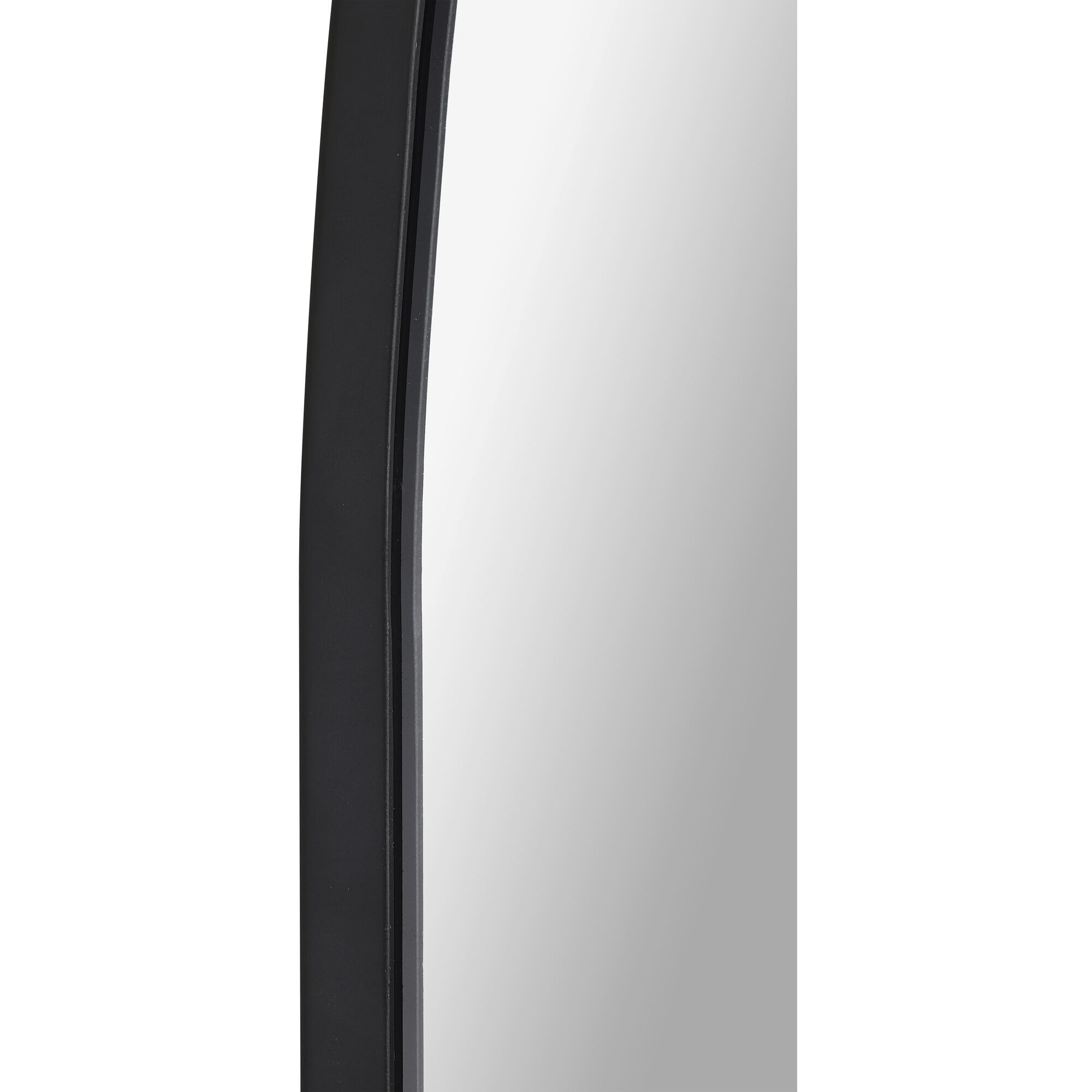 Lamia 50 X 40 inch Matte Black and Clear Mirror