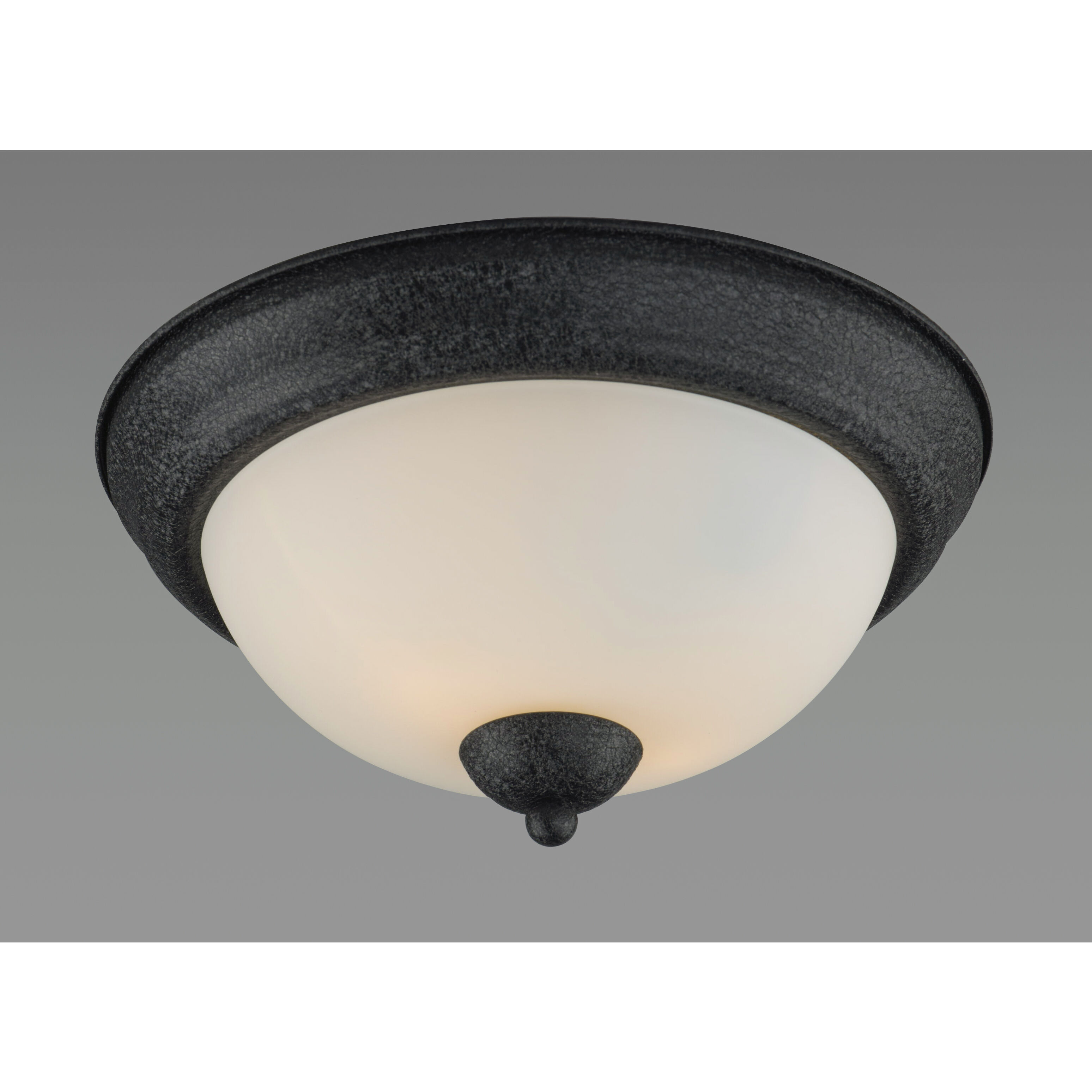 Taylor 2 Light 11.25 inch Textured Black Flush Mount Ceiling Light
