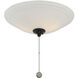 Wind Star LED Matte Black Ceiling Fan Light kit