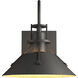 Henry 1 Light 10.5 inch Coastal Natural Iron Outdoor Sconce, Small