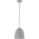 Arlington 1 Light 10 inch Nordic Gray with Brushed Nickel Accents Pendant Ceiling Light