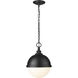 Peyton 2 Light 11.25 inch Matte Black Pendant Ceiling Light
