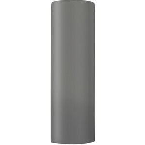Ambiance 1 Light 17 inch Gloss Grey Outdoor Wall Sconce in Incandescent, Gloss Gray