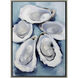 Five Oysters / Four Oysters Blue and White and Multi and Gray Canvas, Propac