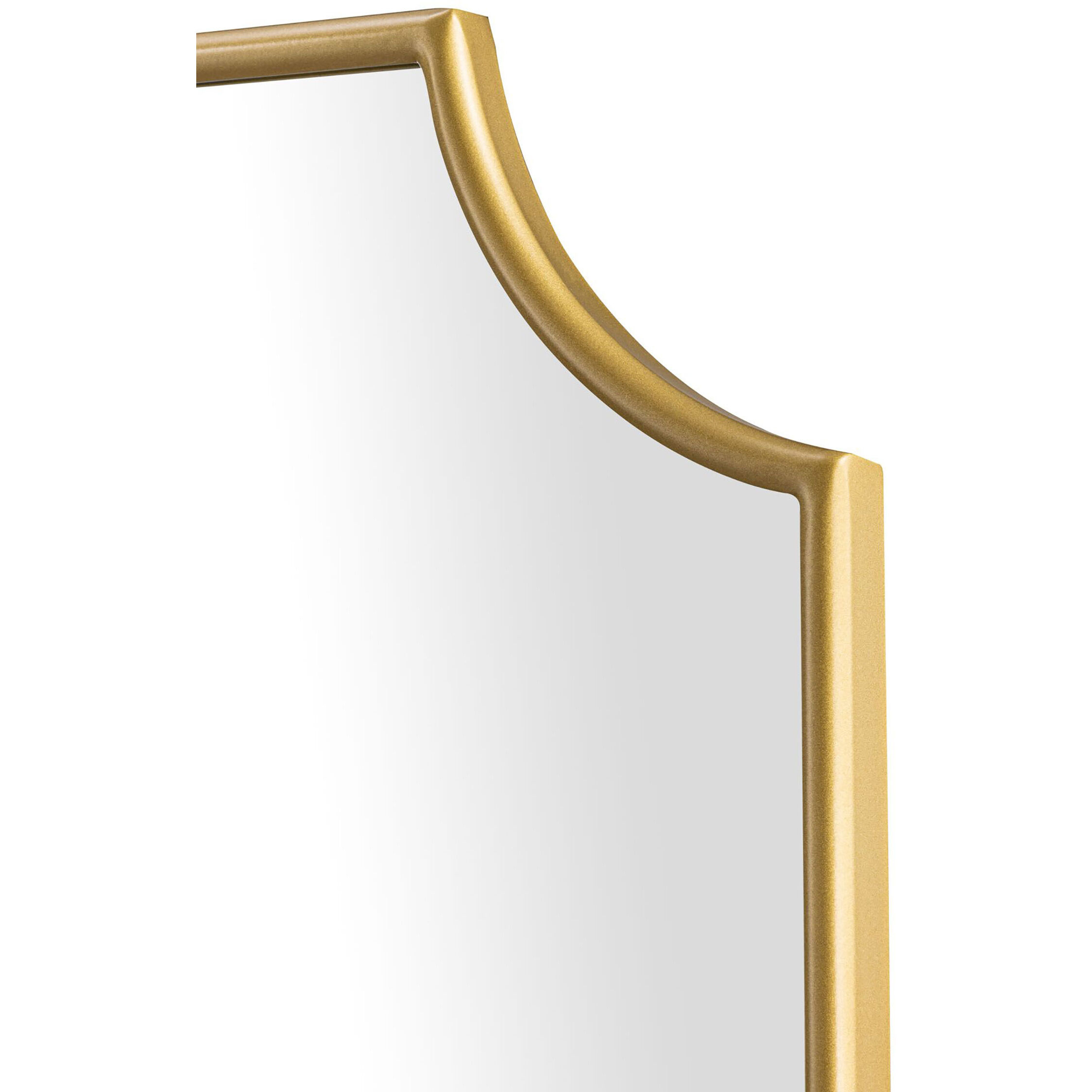 Carlton 33 X 22 inch Gold Wall Mirror, Tamara Day Collaboration