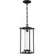 Trescott 1 Light 7 inch Coal Outdoor Chain Hung Lantern, Great Outdoors