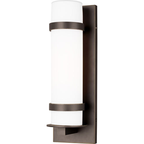 Alban 1 Light 6.00 inch Outdoor Wall Light