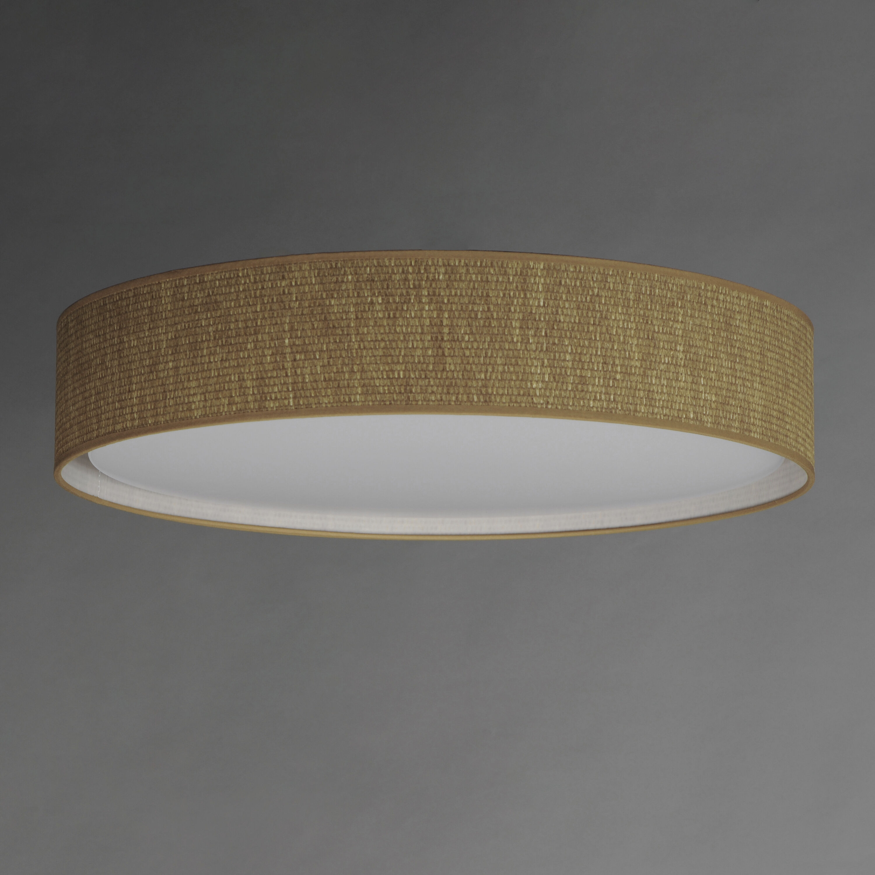 Prime LED 25 inch Flush Mount Ceiling Light