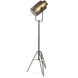 Debdou 61 inch Gold Floor Lamp Portable Light