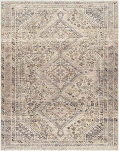 Amelie 108 X 79 inch Ivory Rug, Rectangle