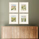 Garden Retreat II Green and Brown and Pink and White Framed Art, The Studio