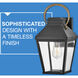 Dawson 9 inch Black with Burnished Bronze Outdoor Hanging Lantern