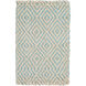 Reeds 63 X 39 inch Aqua, Cream Rug