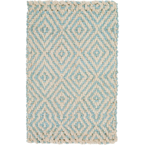 Reeds 63 X 39 inch Aqua, Cream Rug