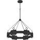 Lisa McDennon Raffi LED 30 inch Carbon Black Chandelier Ceiling Light