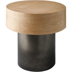 Russula 22 X 22 inch Top: Brown; Base: Metallic - Nickel End Table