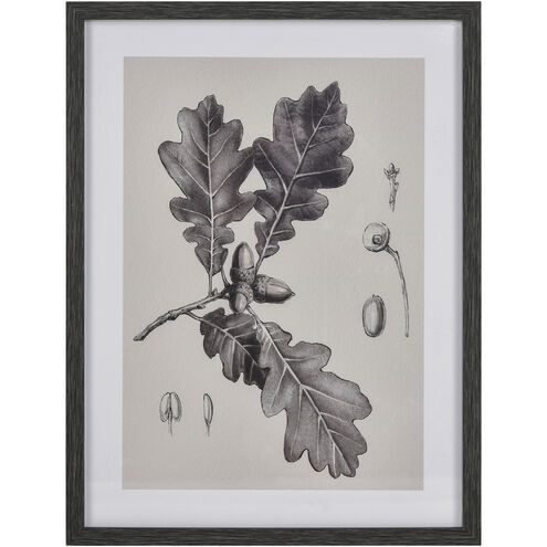 Oak Botanic Black Framed Wall Art, II