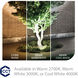 Tyler Black 35 watt LED Spot and Flood Lighting in 3000K, Low Voltage Accent Light, WAC Landscape