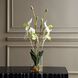 Lady White and Green and Clear Orchid In Glass Vase