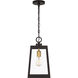 Amberly Grove 1 Light 9 inch Western Bronze Outdoor Hanging Lantern