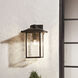 Capanna 1 Light 16 inch Olde Bronze Outdoor Wall, X-Large