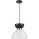 Softshot 1 Light 12 inch Black with Frosted White and Aged Brass Pendant Ceiling Light
