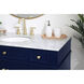 Williams 48 X 35 inch Blue and Brush Gold Vanity Sink Set