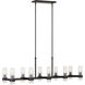 C&M by Chapman & Myers Geneva 10 Light 50 inch Aged Iron Linear Chandelier Ceiling Light
