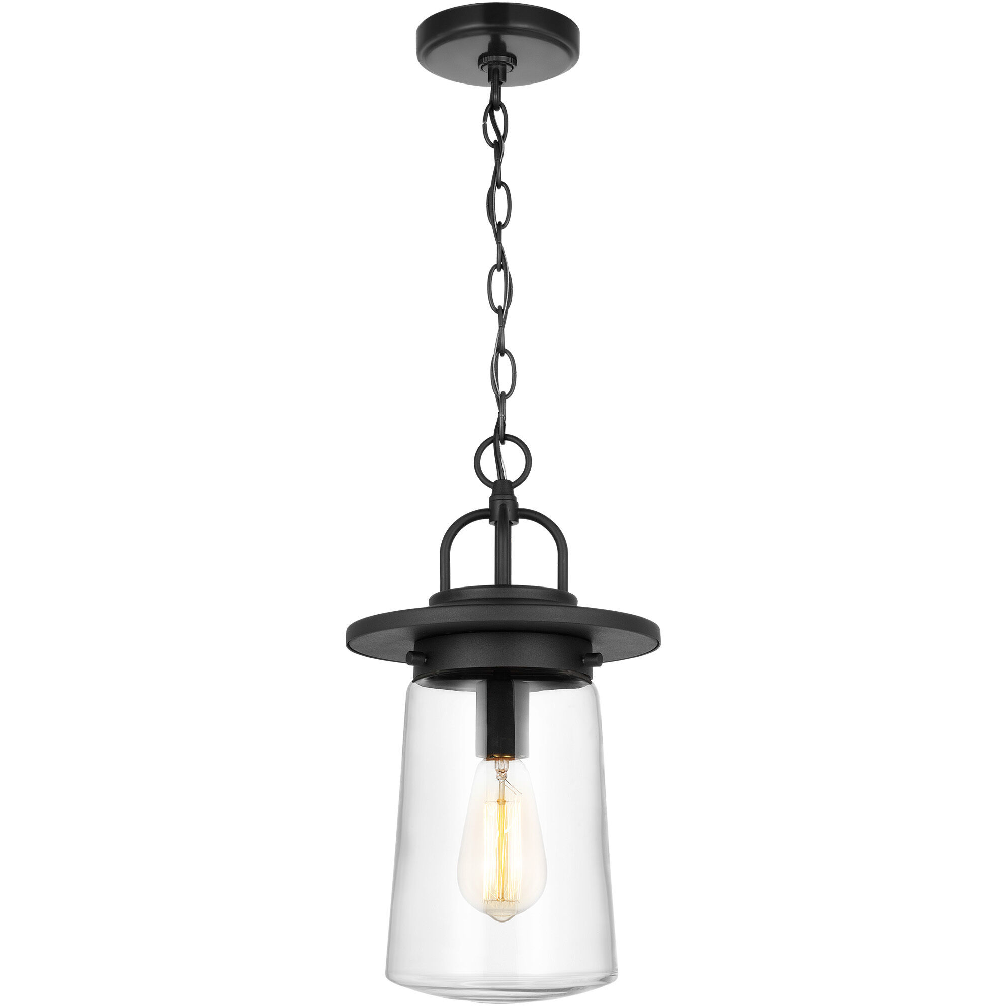 Tybee 1 Light 8.5 inch Black Outdoor Pendant