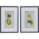 Smithsonian Black and Green/Yellow Wall Art, Assorted Fruit