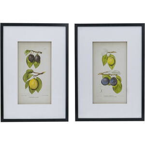 Smithsonian Black and Green/Yellow Wall Art, Assorted Fruit