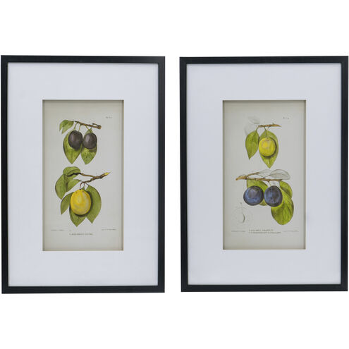 Smithsonian Black and Green/Yellow Wall Art, Assorted Fruit