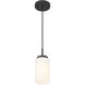 Iris 1 Light 4 inch Matte Black Pendant Ceiling Light