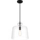 Clarity 1 Light 13 inch Coal Mini Pendant Ceiling Light