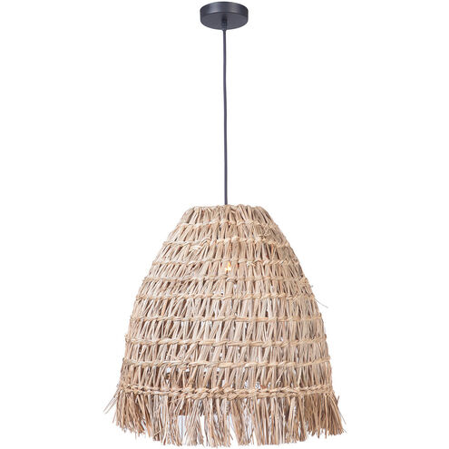 Bejamin 1 Light 20 inch Espresso Pendant Ceiling Light