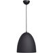 Liberty 1 Light 12 inch Matte Black Outer and Matte Gold Inner Pendant Ceiling Light