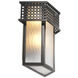 Minerva 2 Light 10.04 inch Bronze Highlight and Frosted Glass Wall Lamp Wall Light