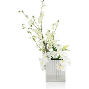 Reflections Botanical/Floral