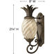 Plantation LED 21 inch Pearl Bronze Outdoor Wall Mount Lantern, Small