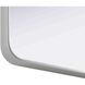 Remy 72 X 32 inch Silver Mirror