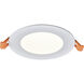 Mercury Integrated LED White Recessed Light