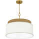 Malia 4 Light 20 inch Brushed Gold Pendant Ceiling Light