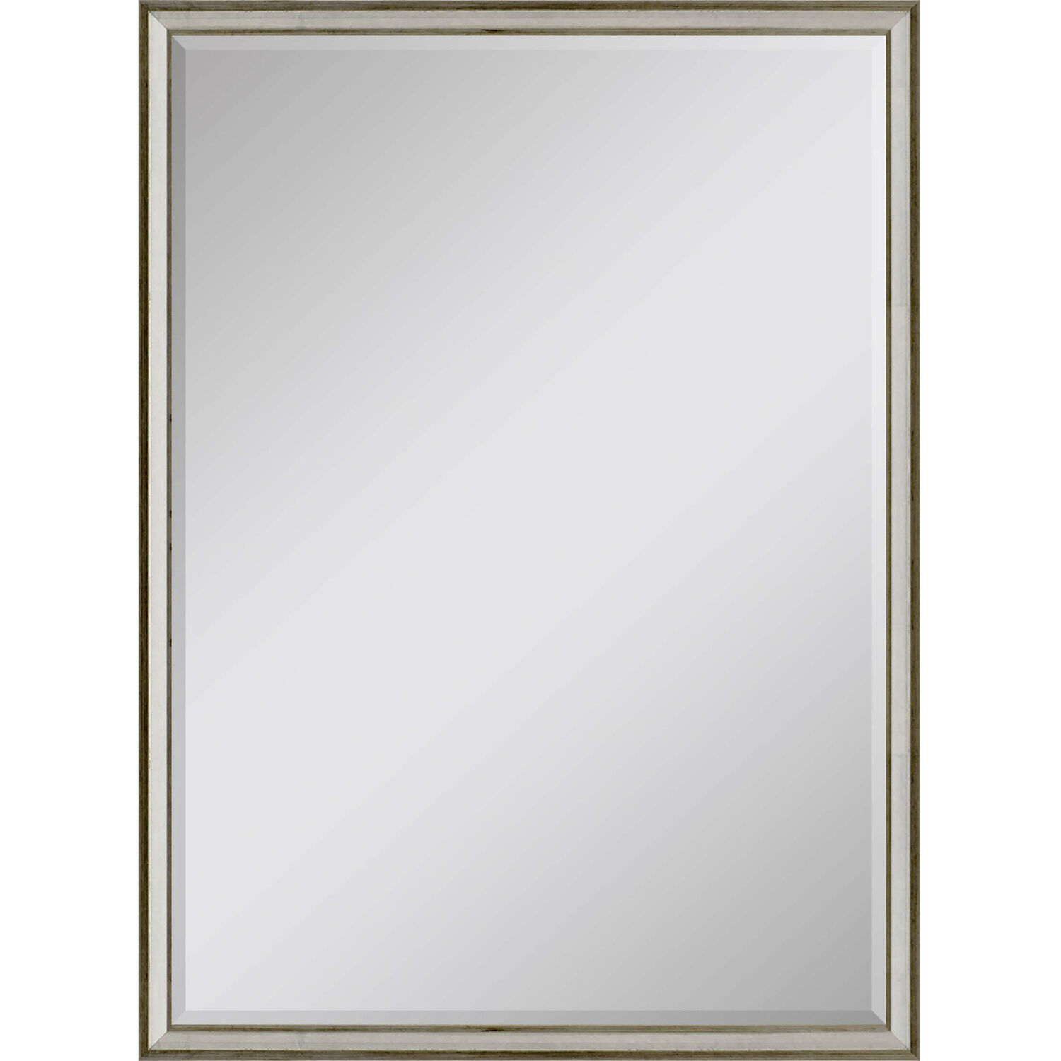 615 Mirror Group 38 X 26 inch Metallic and Neutral Wall Mirror